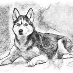 Truyện cổ tích Chôn của