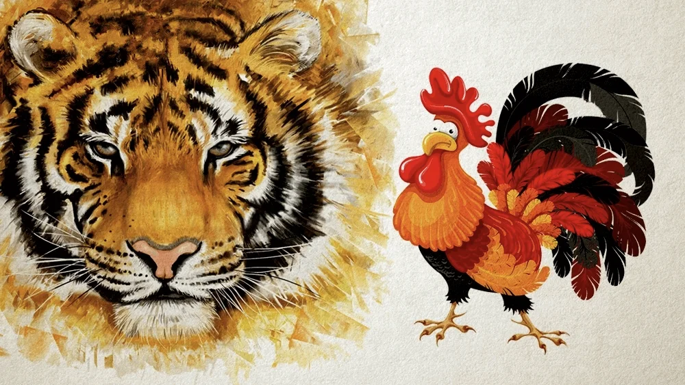 Con gà và con hổ