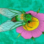 Sự tích con Ve Sầu