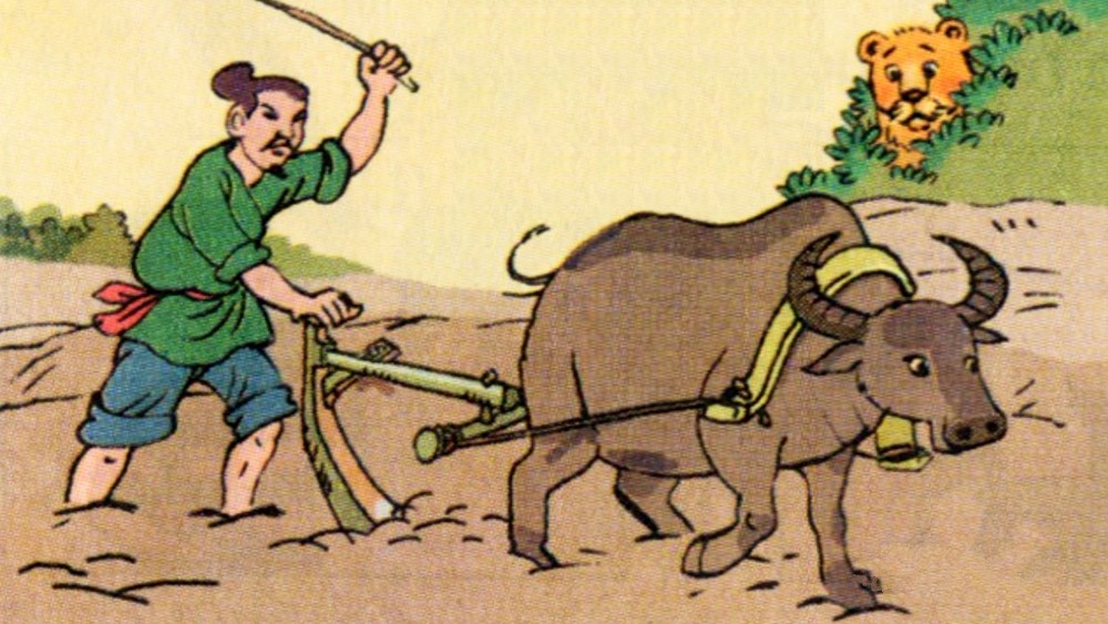 Trí khôn của ta đây