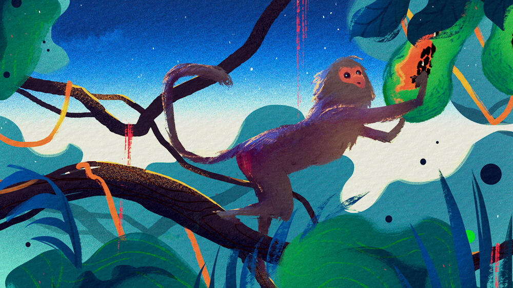 Truyện cổ tích Sự tích câu nói Nhăn như khỉ