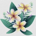 Truyện cổ tích Sự tích cây hoa Đại