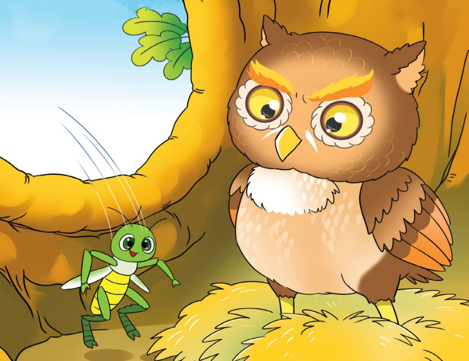 Truyện ngụ ngôn Cú mèo và châu chấu