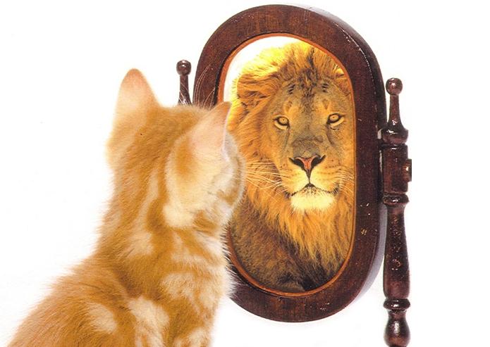 Truyện ngụ ngôn Mèo lại hoàn mèo