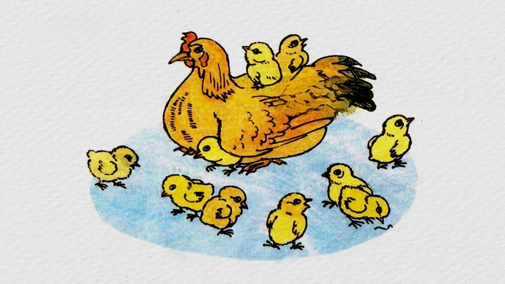 Truyện ngụ ngôn Một câu trả lời