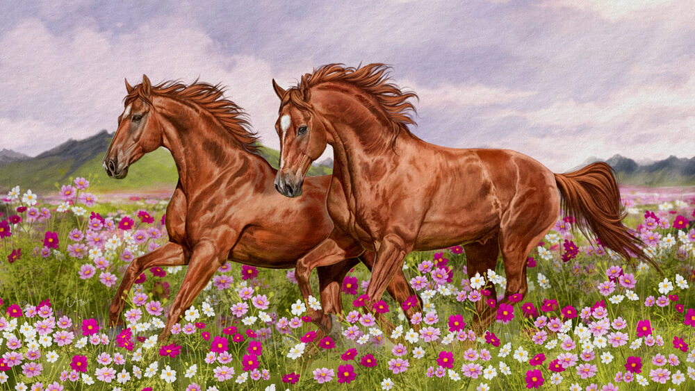 Truyện ngụ ngôn Ngựa đực, ngựa cái