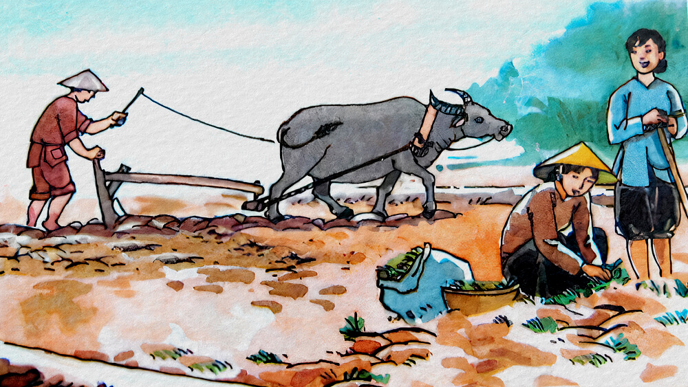 Truyện cổ tích Bà chủ và người đi cày